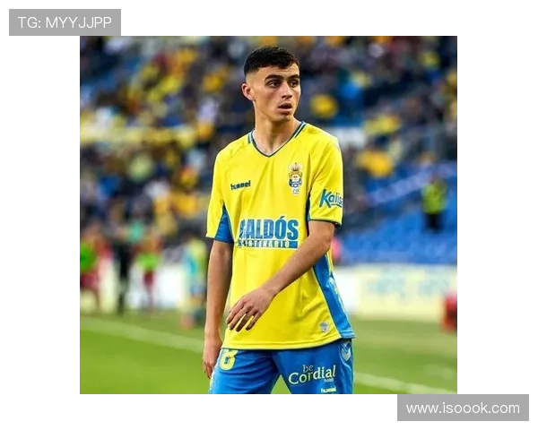 佩德里拉斯帕尔马斯出道后表现稳健，持续提升备受期待